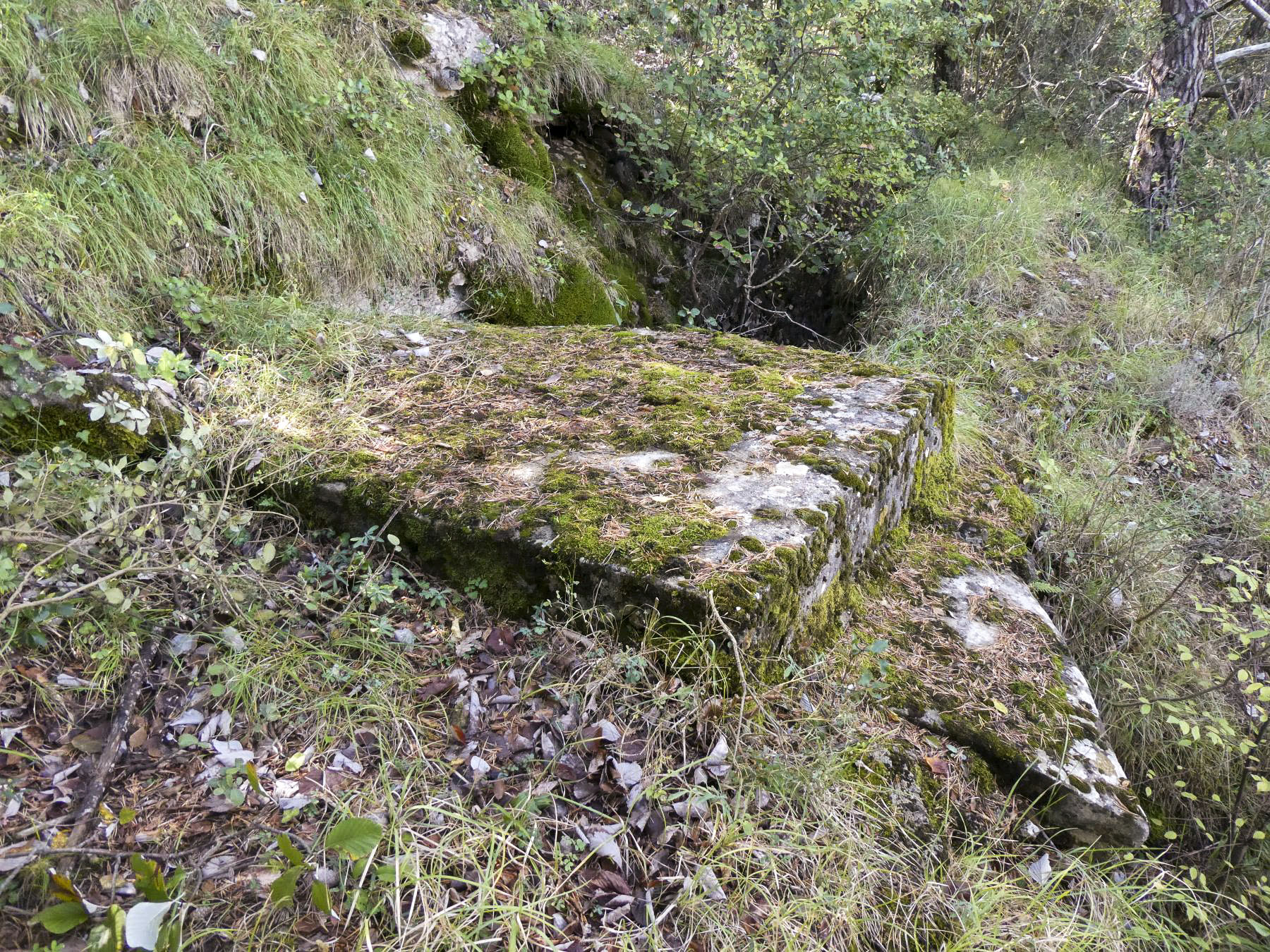 Ligne Maginot - COTE 902 CENTRE 1 - (Blockhaus pour arme infanterie) - 