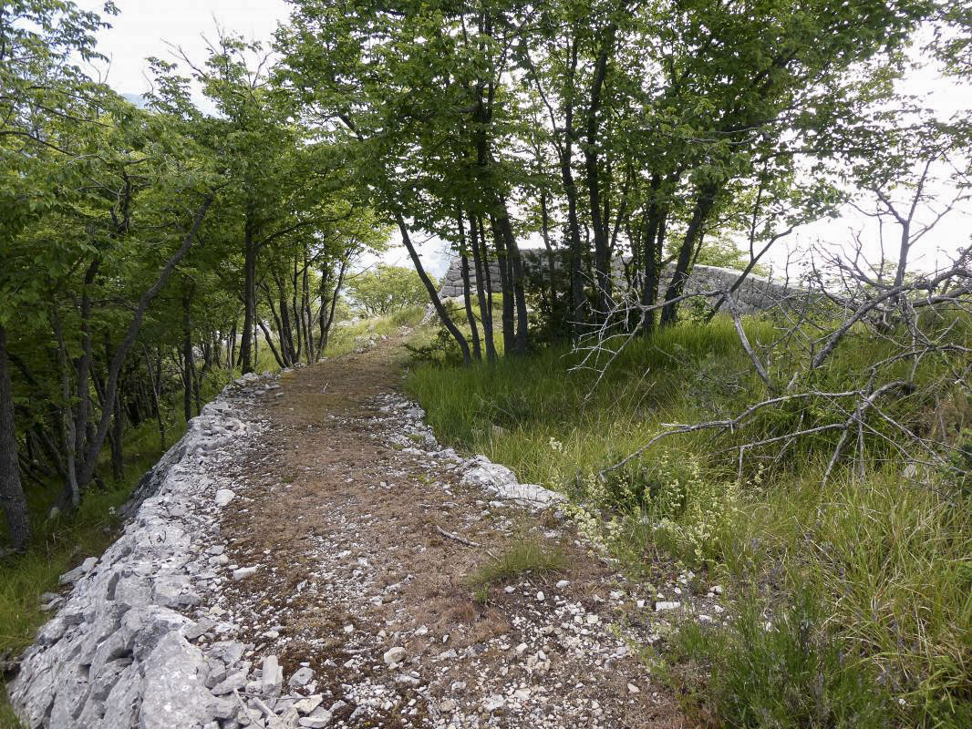 Ligne Maginot - CROIX DE FOISSA - (Observatoire d'artillerie) - Accès de l'observatoire par les terrasses de tir (Séré de Rivières)