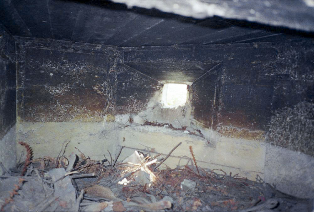 Ligne Maginot - DOUANE - (Blockhaus pour arme infanterie) - Vue de l'intérieur du blockhaus