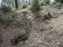 Ligne Maginot - LA COUPIERE NORD - (Position d'artillerie préparée) - 