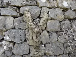 Ligne Maginot - LA PENA (PE) - (Ouvrage d'infanterie) - Casernement
Décoration