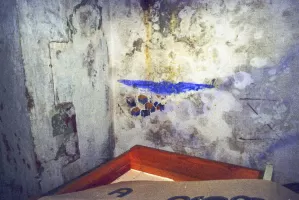 Ligne Maginot - MONT CHAUVE D'ASPREMONT - (Central téléphonique isolé) - Fresques intérieures