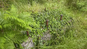 Ligne Maginot - MONT GROS DE ROQUEBRUNE - (Observatoire d'artillerie) - 