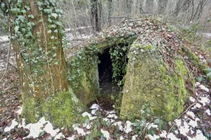 Ligne Maginot - PFIFFERWALD - (Abri) - 