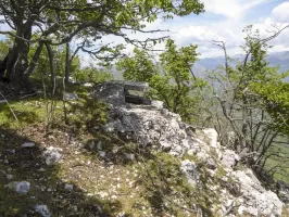 Ligne Maginot - TETE DU LOUP - (Observatoire d'artillerie) - 
