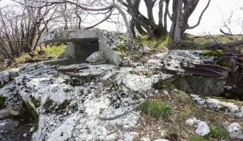Ligne Maginot - TETE DU LOUP - (Observatoire d'artillerie) - 