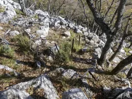 Ligne Maginot - MONT OURS SUD - (Observatoire d'artillerie) - 