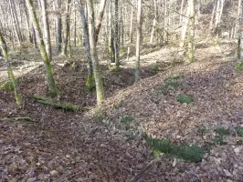 Ligne Maginot - HANAU 3 - (Blockhaus pour canon) - Une tranchée de circulation à proximité.
