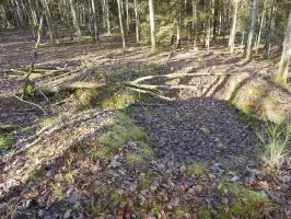 Ligne Maginot - WALDECK (9°BIE 60°RMAF) - (Position d'artillerie préparée) - L'emplacement d'une cagna.