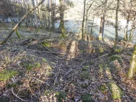 Ligne Maginot - WALDECK (9°BIE 60°RMAF) - (Position d'artillerie préparée) - Un emplacement d'abri ?