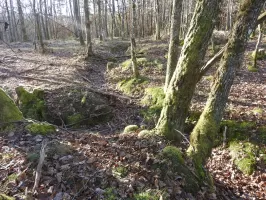 Ligne Maginot - WALDECK (9°BIE 60°RMAF) - (Position d'artillerie préparée) - Des tranchées.
