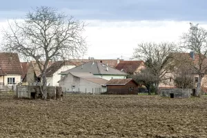 Ligne Maginot - GEISWASSER 1 - (Blockhaus pour canon) - Les deux blocs de Geiswasser