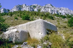 Ligne Maginot - O46 - MADONE DE GORBIO NORD - (Blockhaus pour arme infanterie) - 