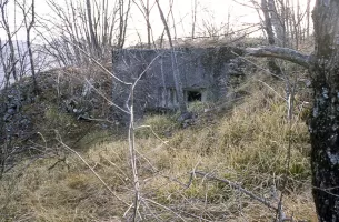 Ligne Maginot - O49 - COTE 942 NORD - (Blockhaus pour arme infanterie) - 
