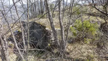 Ligne Maginot - O49 - COTE 942 NORD - (Blockhaus pour arme infanterie) - 