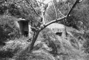 Ligne Maginot - PA DE CASTELLAR 2 - (Blockhaus pour arme infanterie) - 