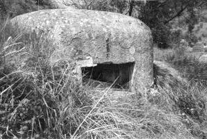 Ligne Maginot - PA DE CASTELLAR 2 - (Blockhaus pour arme infanterie) - 