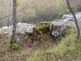 Ligne Maginot - PIC DE GARUCHE - (Abri) - Défenses à proximité