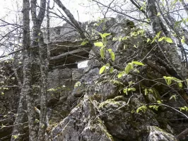 Ligne Maginot - PIERRE POINTUE C4 - (Cuve pour arme d'infanterie) - 