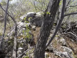 Ligne Maginot - PIERRE POINTUE - C5 - (Cuve pour arme d'infanterie) - 