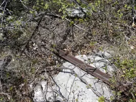 Ligne Maginot - PIERRE POINTUE - C5 - (Cuve pour arme d'infanterie) - 