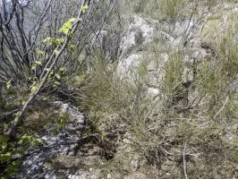 Ligne Maginot - PIERRE POINTUE - C5 - (Cuve pour arme d'infanterie) - Tranchée d'accès