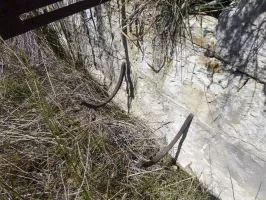 Ligne Maginot - SOURCE DU BORRIGO (CITERNES DES) - (Divers) - Abreuvoir militaire