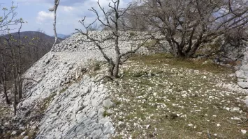 Ligne Maginot - TETE DU LOUP - (Position d'artillerie préparée) - 