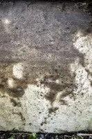 Ligne Maginot - SAINT LOUIS NEUWEG 3 - (Blockhaus pour arme infanterie) - 