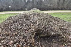 Ligne Maginot - VILLAGE-NEUF BERGE 2A - (Abri) - 