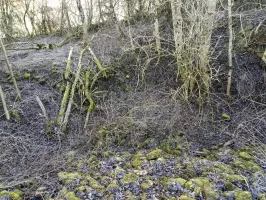 Ligne Maginot - DB370 - (Blockhaus pour canon) - 