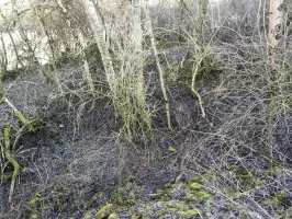 Ligne Maginot - DB370 - (Blockhaus pour canon) - 