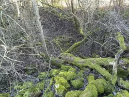Ligne Maginot - DB370 - (Blockhaus pour canon) - Deuxième fouille à quelques dizaines de mètres