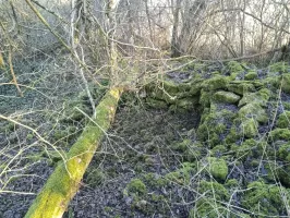 Ligne Maginot - DB370 - (Blockhaus pour canon) - Deuxième fouille à quelques dizaines de mètres