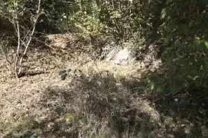 Ligne Maginot - B19 - LES DUNES 19 - (Blockhaus pour arme infanterie) - 