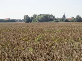 Ligne Maginot - B58 - TROIS ROIS Sud 2 - (Blockhaus pour arme infanterie) 2 - Situé dans cet environnement, le blockhaus B58 - Trois Rois Sud 2 a été détruit