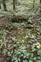 Ligne Maginot - BOIS DE LATIREMONT - (Cuve pour arme d'infanterie) - 