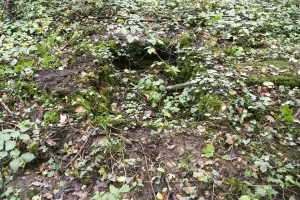 Ligne Maginot - BOIS DE LATIREMONT - (Cuve pour arme d'infanterie) - 