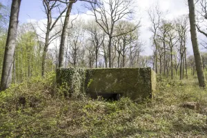 Ligne Maginot - CB301 - KANFENER BUSCH 7 - (Blockhaus pour canon) - 