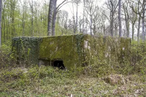 Ligne Maginot - CB301 - KANFENER BUSCH 7 - (Blockhaus pour canon) - 