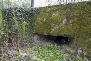 Ligne Maginot - CB301 - KANFENER BUSCH 7 - (Blockhaus pour canon) - 