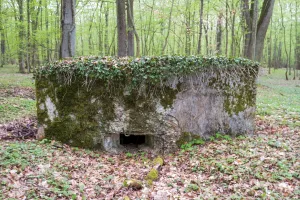Ligne Maginot - KANFENER BUSCH 5 - (Blockhaus pour arme infanterie) - 