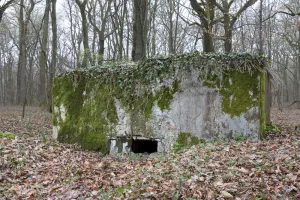 Ligne Maginot - KANFENER BUSCH 5 - (Blockhaus pour arme infanterie) - 