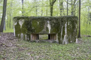 Ligne Maginot - CB302 - KANFENER BUSCH 6 - (Blockhaus pour canon) - 