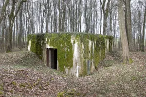 Ligne Maginot - CB302 - KANFENER BUSCH 6 - (Blockhaus pour canon) - Vue générale
