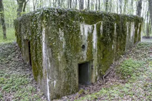 Ligne Maginot - CB302 - KANFENER BUSCH 6 - (Blockhaus pour canon) - Les entrées