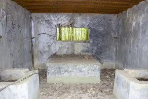 Ligne Maginot - CB302 - KANFENER BUSCH 6 - (Blockhaus pour canon) - 