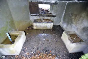 Ligne Maginot - KUHBRUCK OUEST - (Blockhaus pour canon) - 