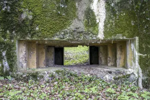 Ligne Maginot - CB302 - KANFENER BUSCH 6 - (Blockhaus pour canon) - 