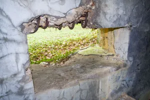 Ligne Maginot - CB302 - KANFENER BUSCH 6 - (Blockhaus pour canon) - 